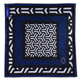 T HENRI Collectors Cloth - MK 1 - Limited Edition Trunks T HENRI